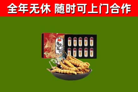 大鹏回收冬虫夏草价格